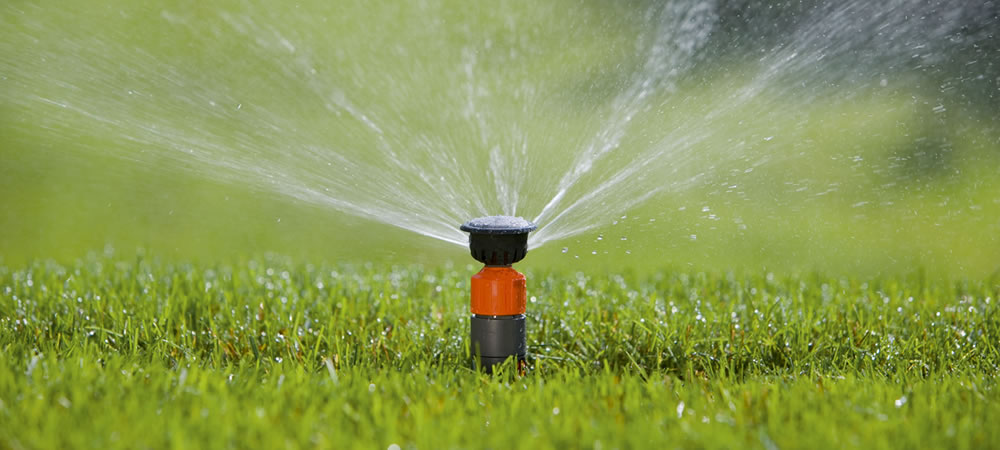 Wasser